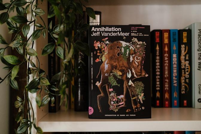Annihilation