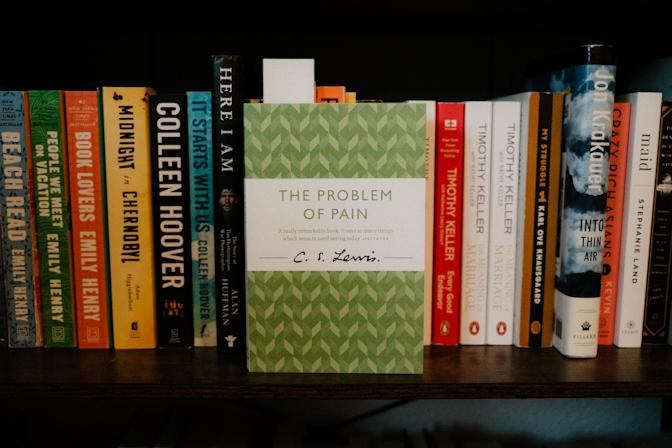 The Problem of Pain