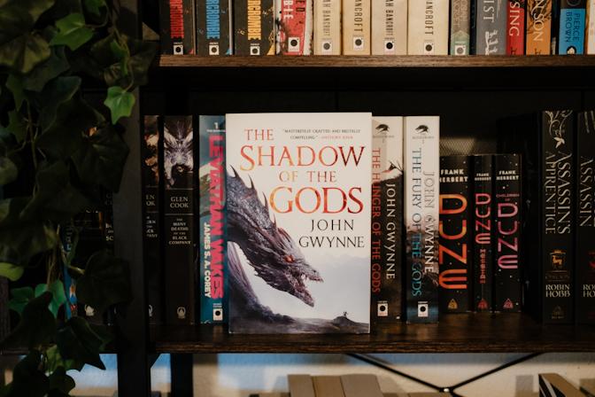 The Shadow of the Gods