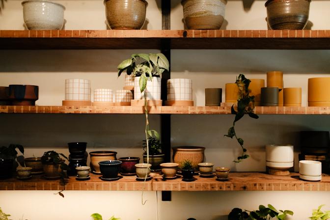 Pistil's Nursery - Slabtown