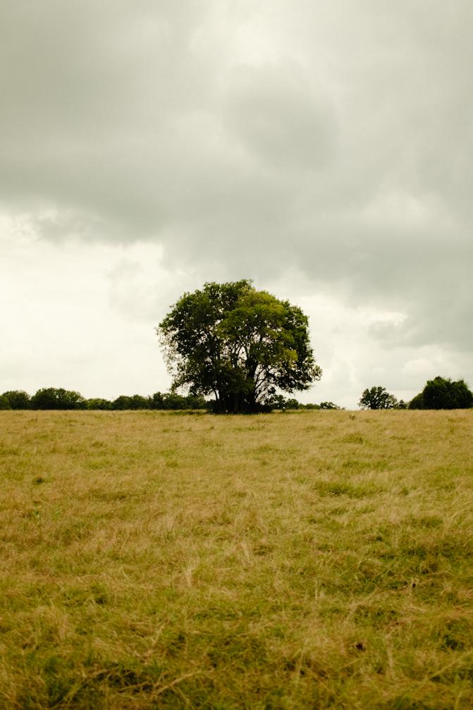 Texas farmland