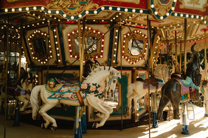 Zoo Carousel