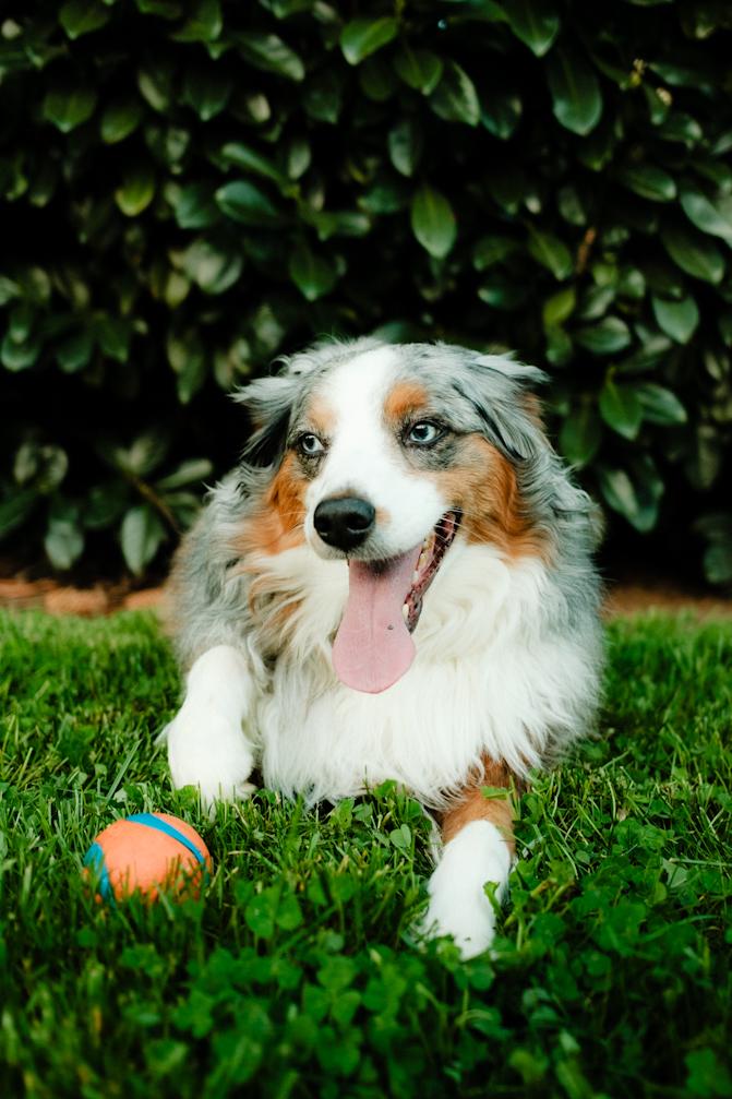 Luka playing ball