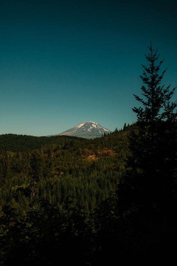 Mt. Adams