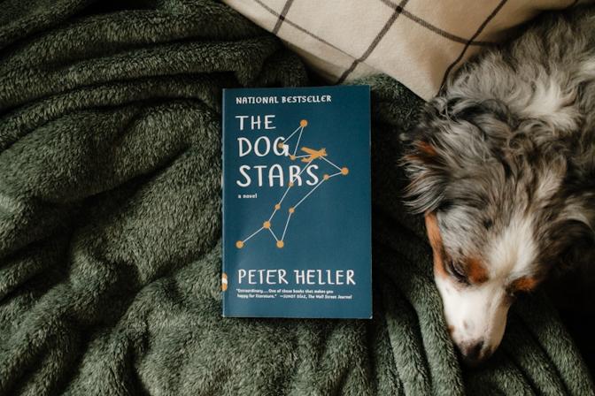The Dog Stars