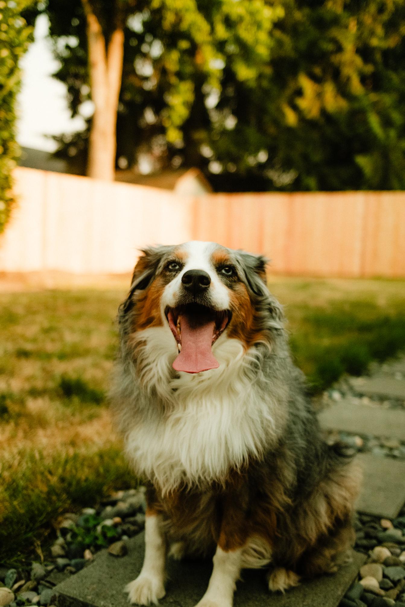 Luka outside hangs