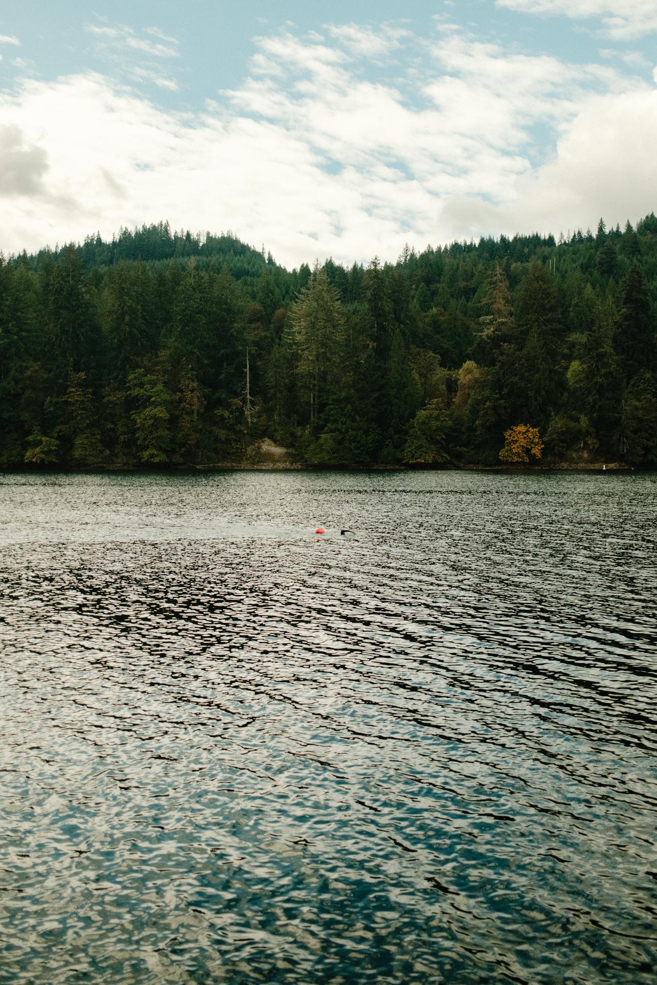 Lake swimmer