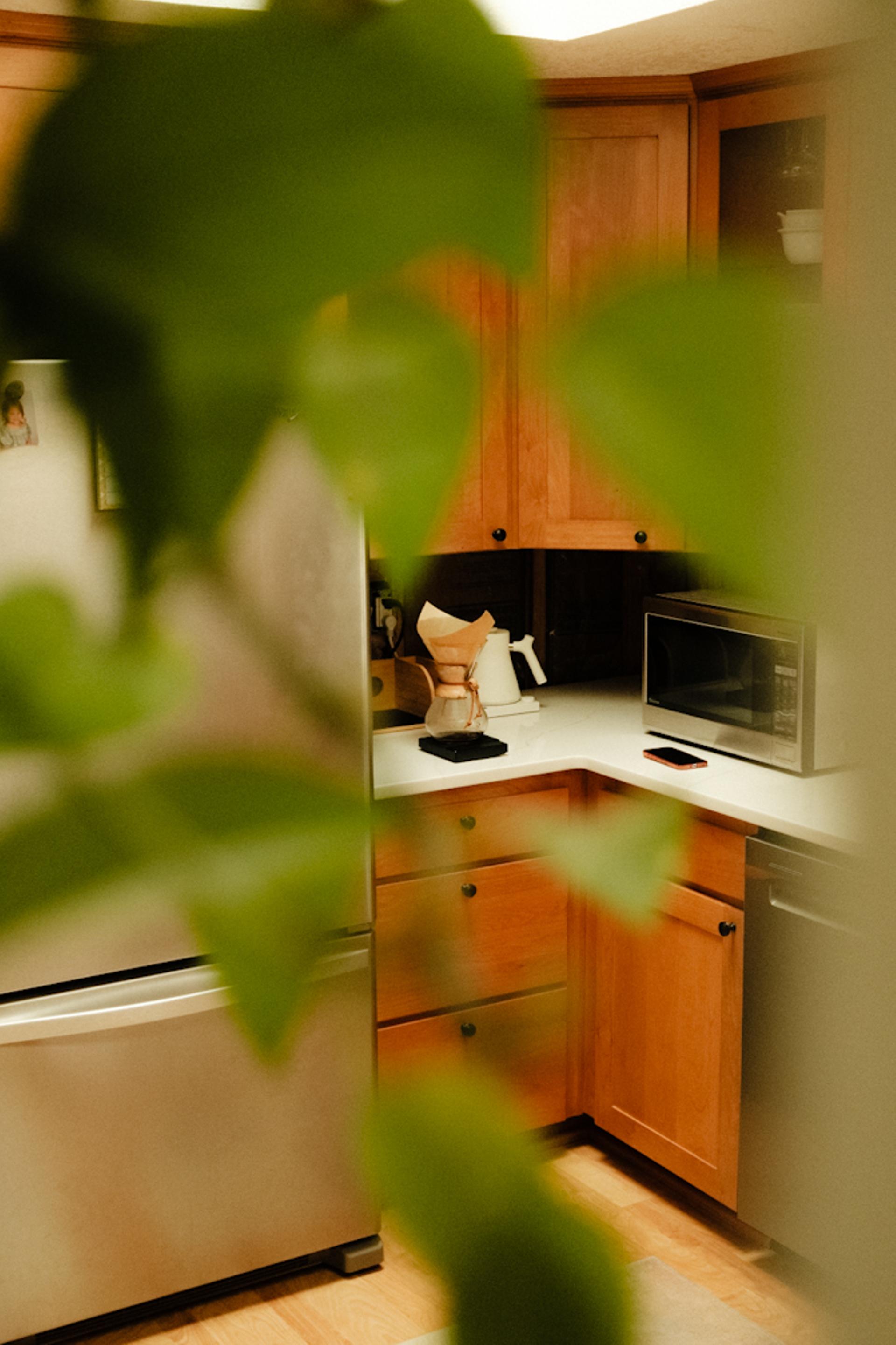 I loved the natural frame of the chemex through the leaves.