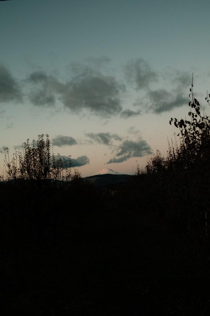 Spent a night in Hood River with friends to celebrate Ali's birthday, with an evening view of Mt. Hood.