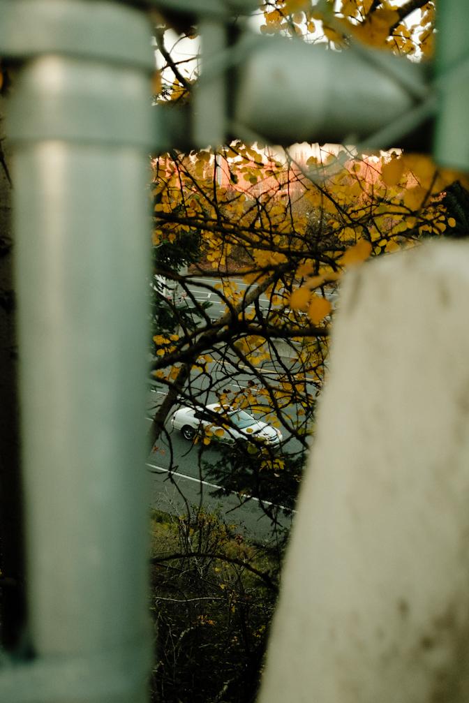 Went on a walk and found a little gap between the overpass and freeway wall to perfectly frame a car passing by through the trees.