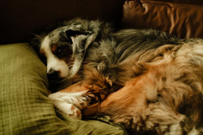 Luka perfectly embodies the meaning of post-church lazy Sundays.