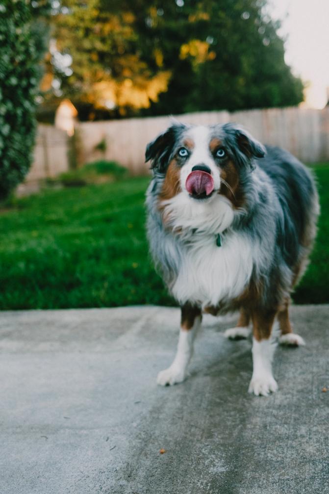 Luka tongue