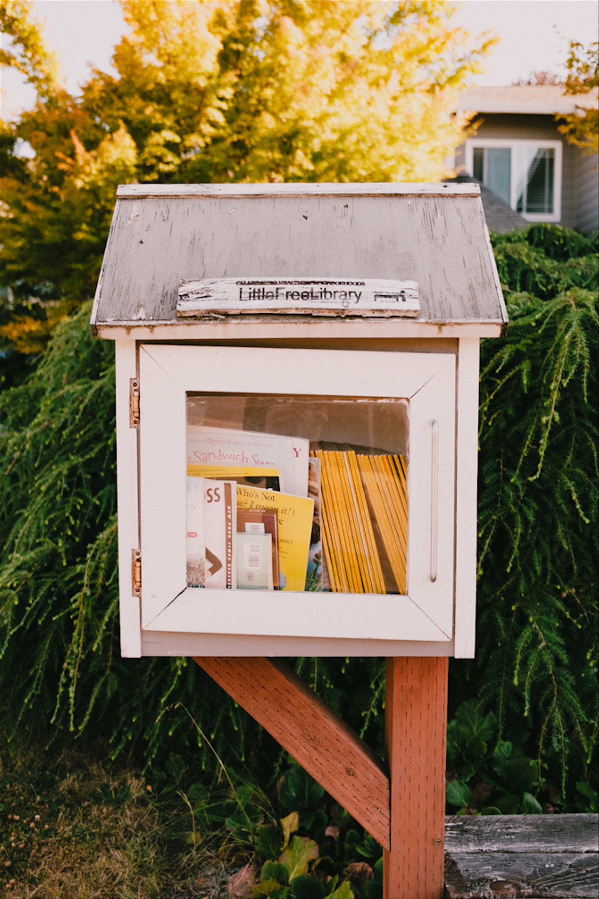 Neighborhood mini library