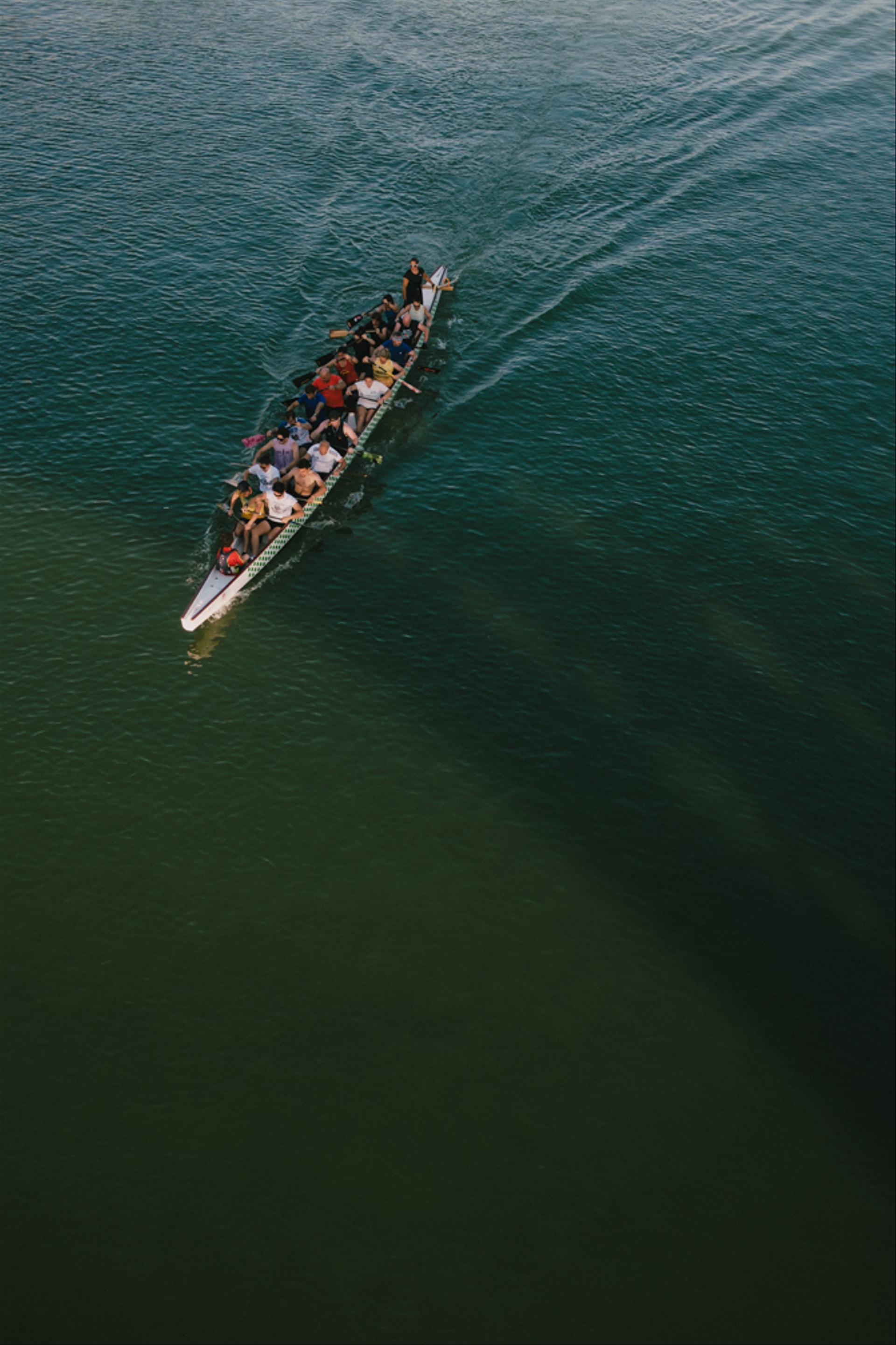 Rowers in the river.