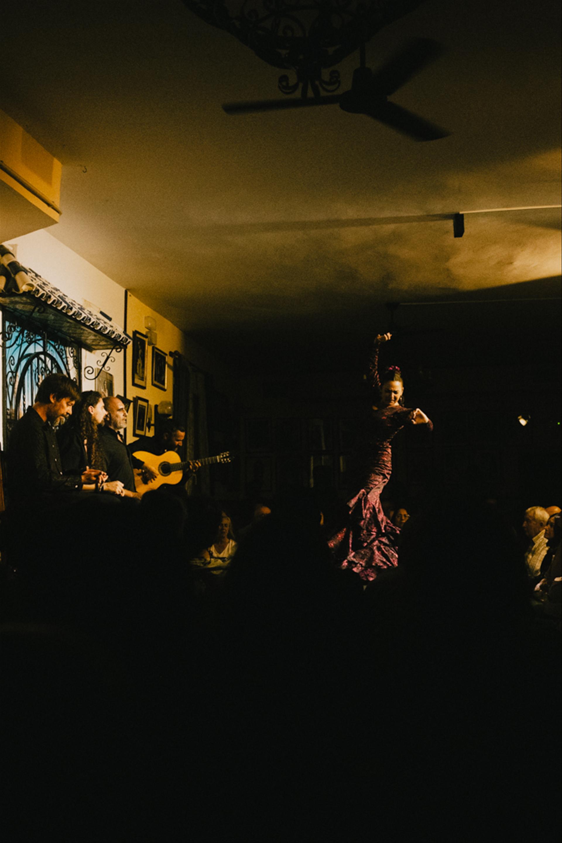 Flamenco dancer 2.