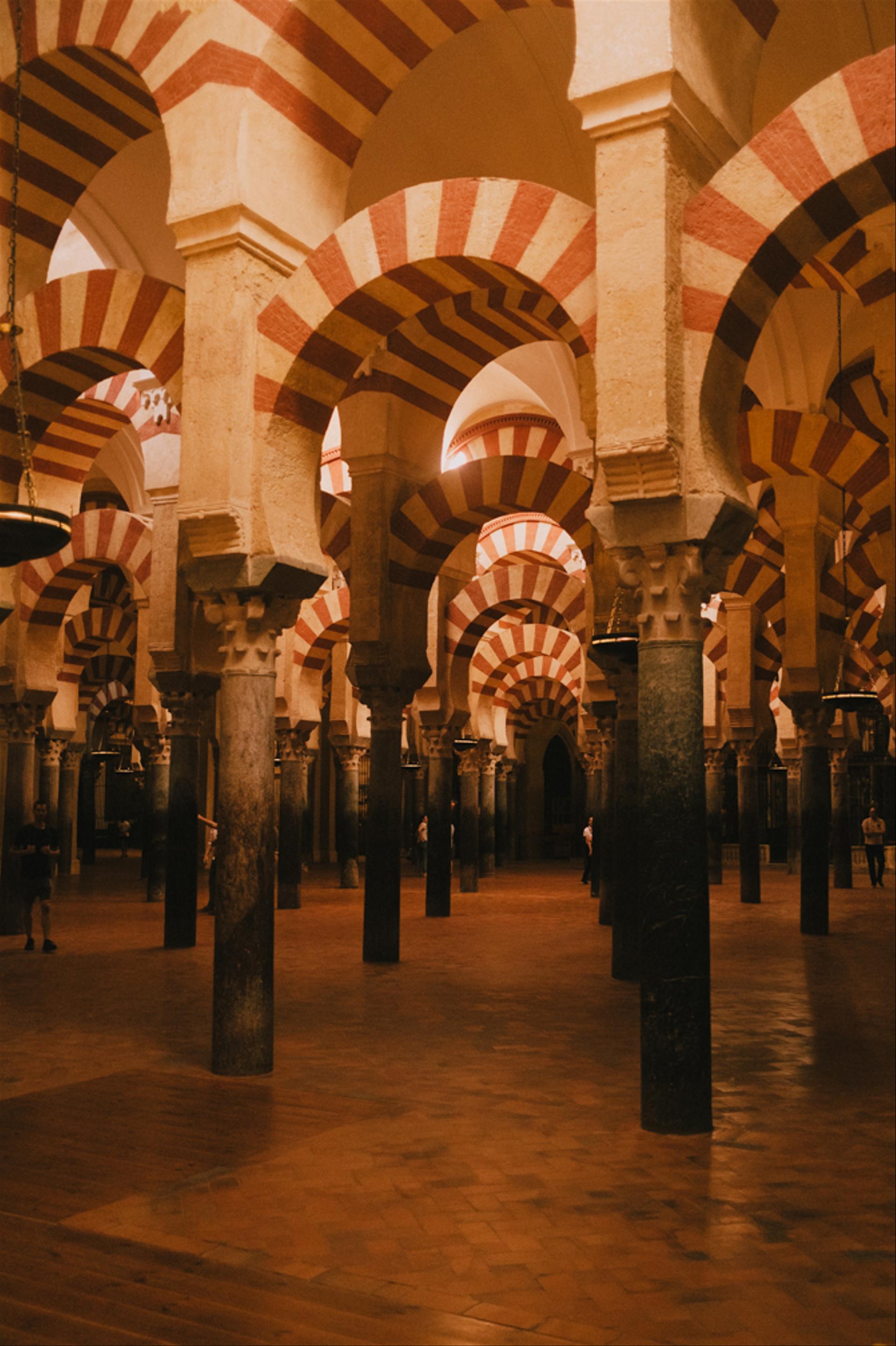 Columns in the cathedral