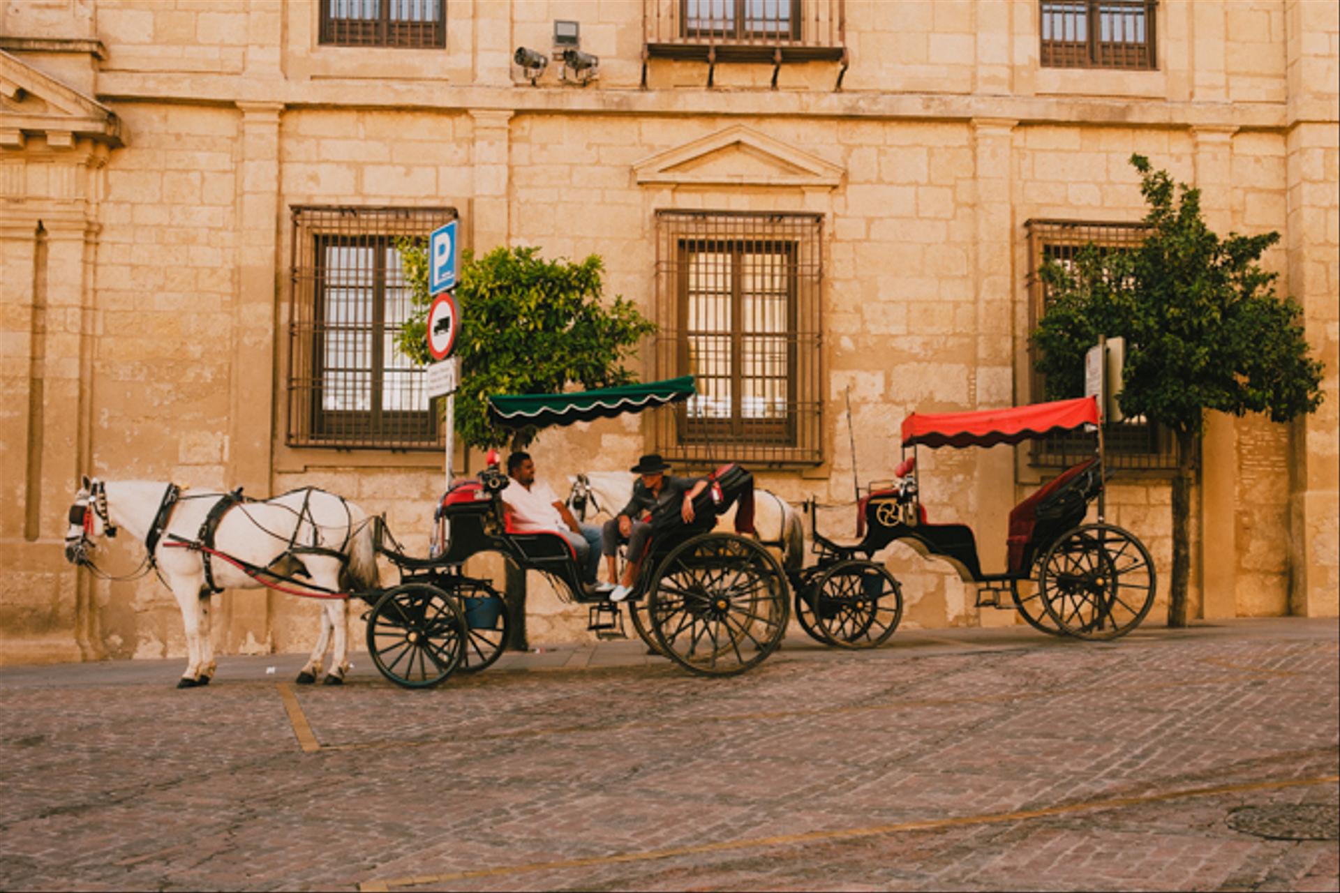 Horse carriages.