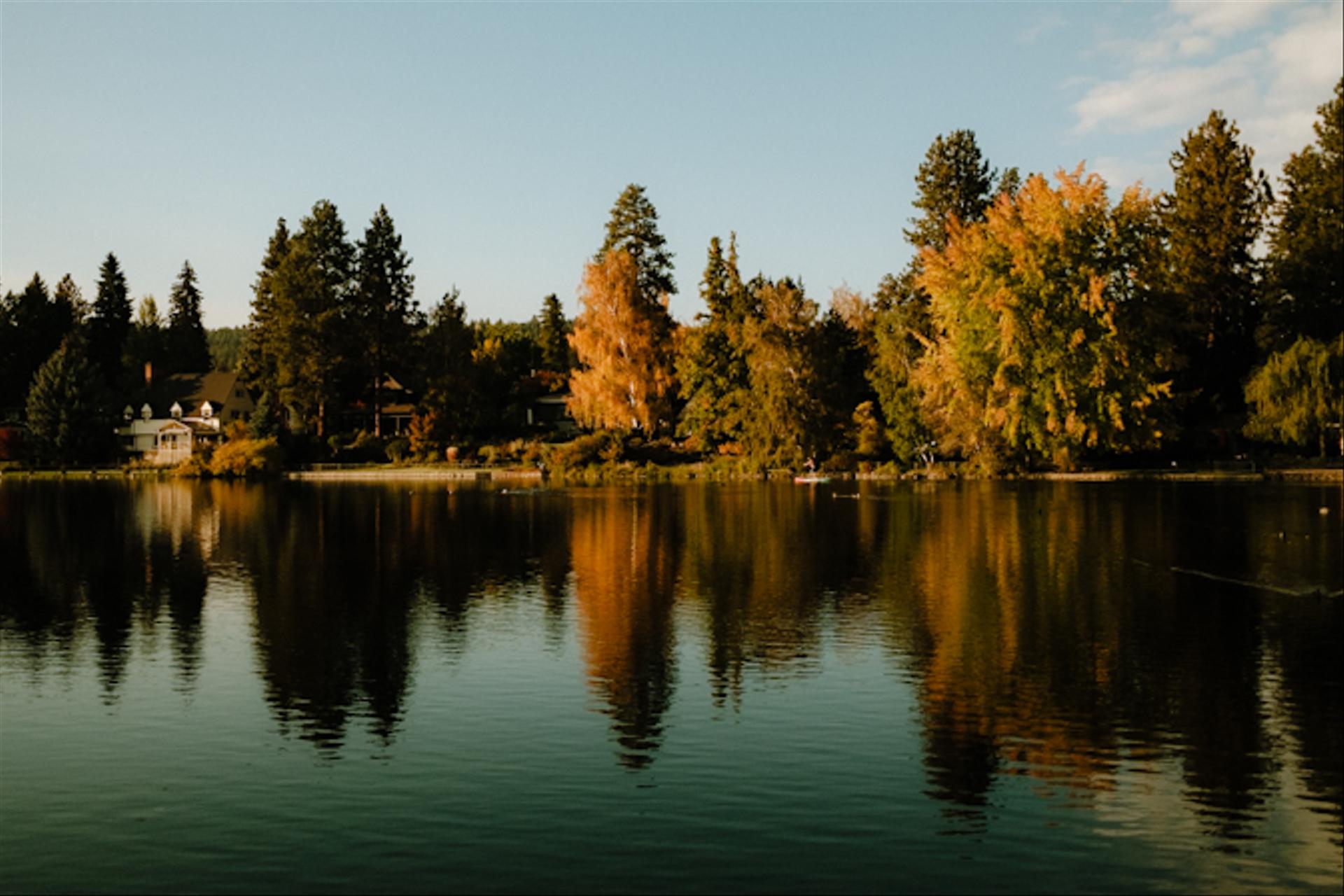 Reflective views