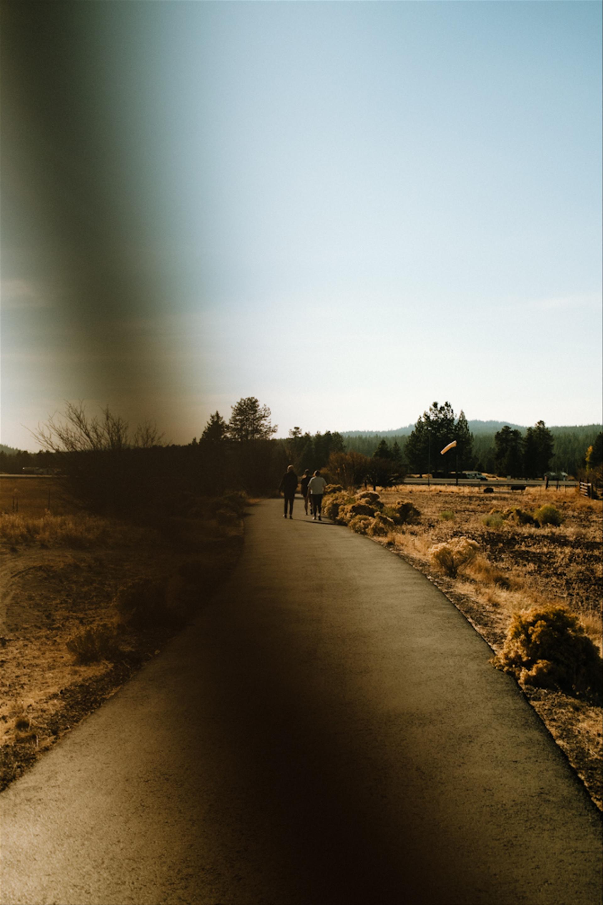 Walking with Syd, Ben and Emily