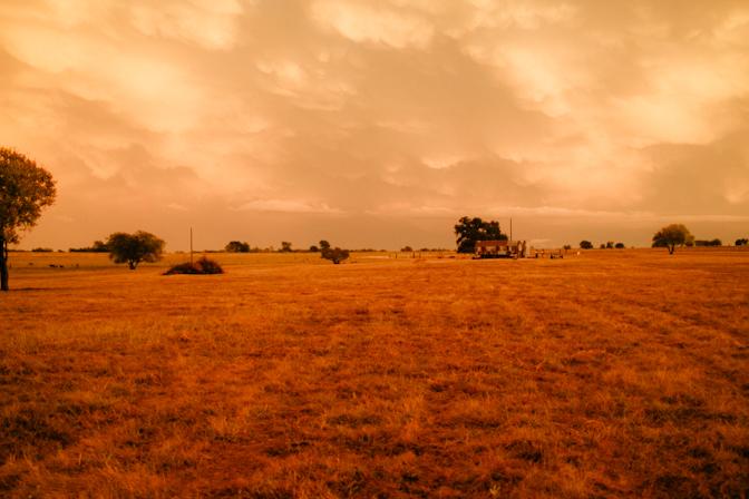 Texas sunset field