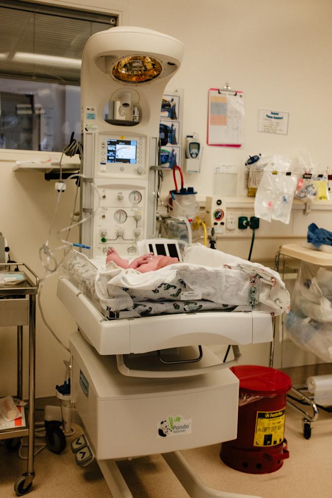 Sawyer in the warming tray