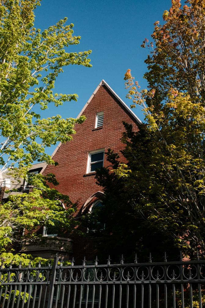 Church in the trees