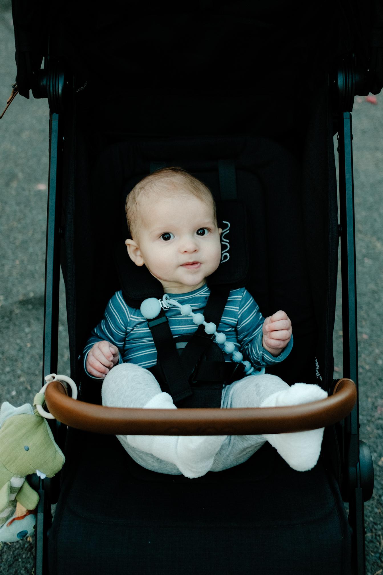 Stroller Sawyer