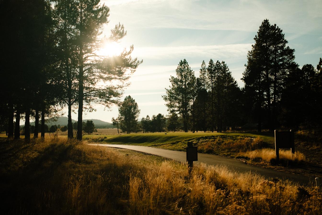 Sun over the gold course