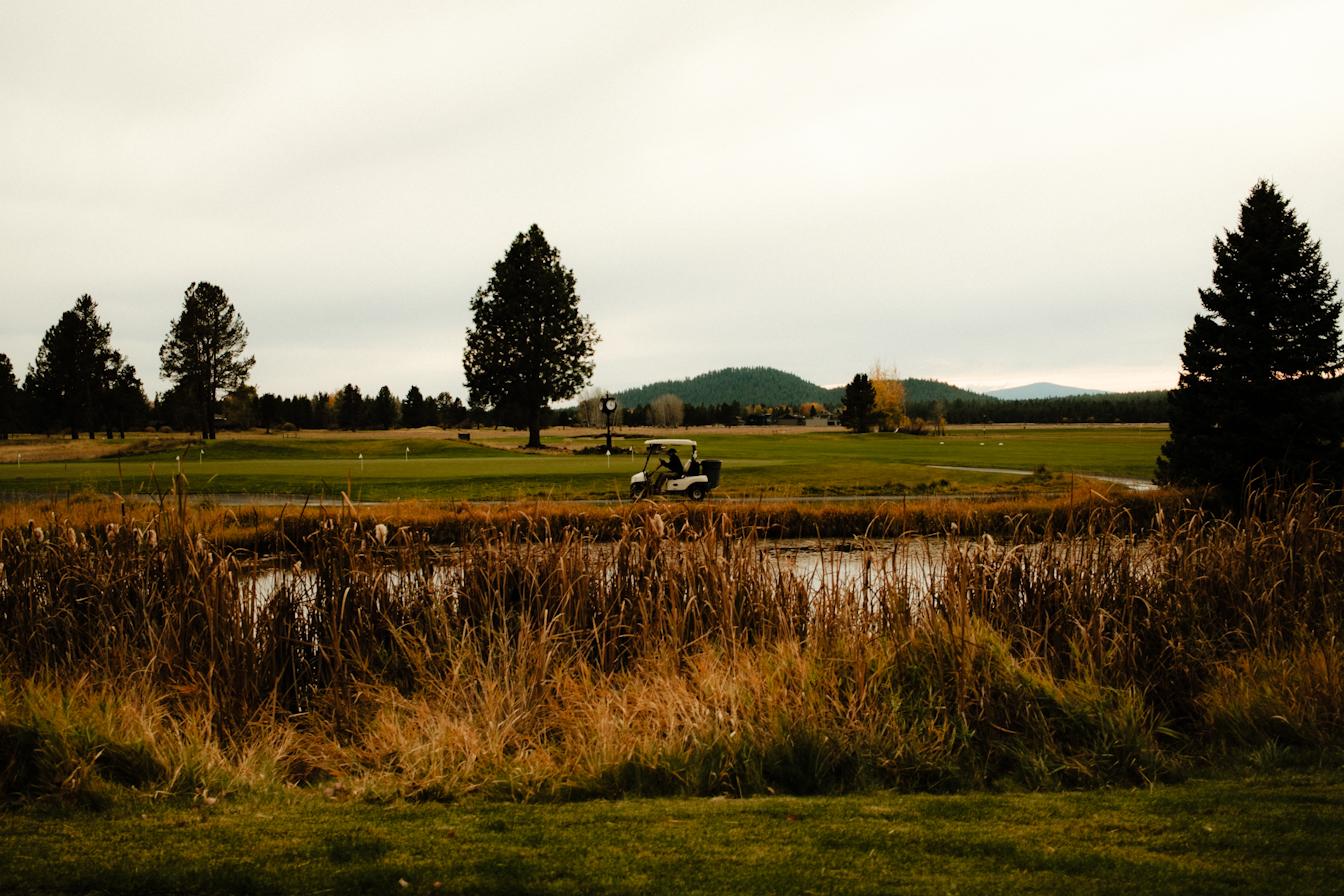 Golf carts