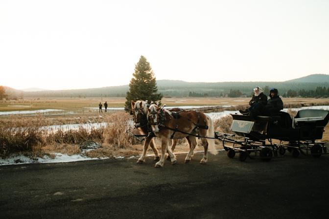Carriage